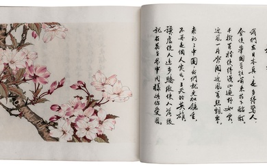 Asie - Chine - Bai Hua Qi Fang. (Que 100 fleurs s'épanouissent). Album avec 10...