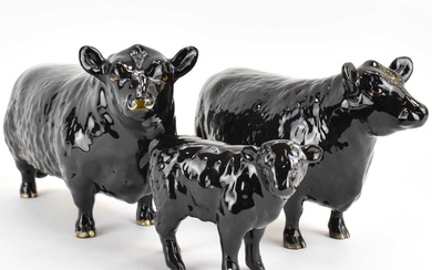 BESWICK; an Aberdeen Angus family group, comprising Bull 1562, Cow...