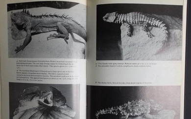 Bellairs, Life of Reptiles, 1stUS 1970 compl. 2vol. ill