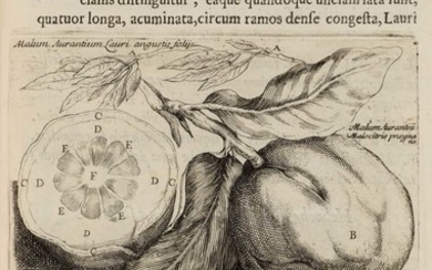 Boccone (Paolo). Icones rariorum plantarum Sicilae, Melitae, Galliae, et Italia, 1674, Lilford copy