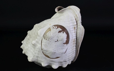 Cameo Conch Shell of Roman Goddesses, L20cm