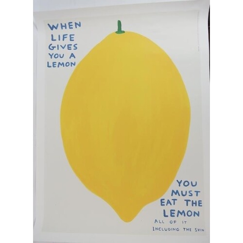 David Shrigley OBE (b.1968) - 'Life gives you a lemon you mu...