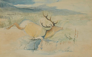 Friedrich Gauermann (attributed), Lying deer