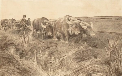 GIULIO ARISTIDE SARTORIO (Rome, 1860 - 1932): Oxen at