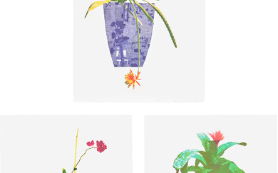 Jonas Wood, Three Landscape Pots: Night Bloom, Orchid, and Bromeliad