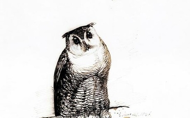 Lear drawing of an Eagle Owl