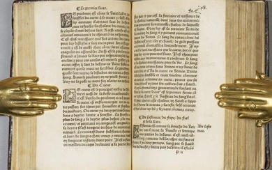 [Livre du XVIe siècle]. BOUCHET (Jean). Les... - Lot 72 - Gros & Delettrez