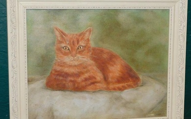 Oil on Board Portrait of a Cat Signed