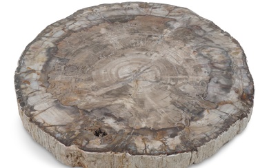 PETRIFIED WOOD SPECIMEN, ACQUIRED IN MADAGASCAR