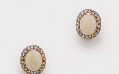 Paar klassische Opal-Ohrclips