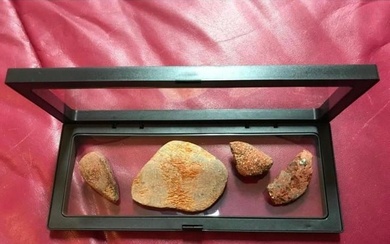Set of Prehistoric Dinosaur Gembone Specimens