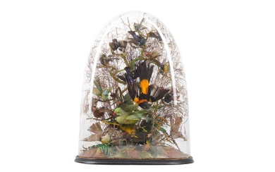 TAXIDERMY: A VICTORIAN DOME DISPLAY OF EXOTIC BIRDS, LATE 19TH CENTURY