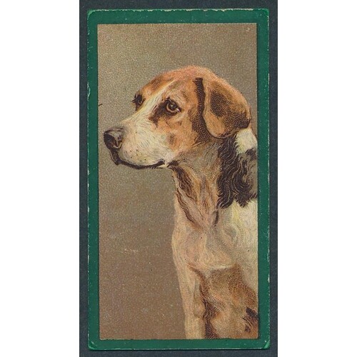 Taddy. 1900 Dogs set, in fair to good cond., apart from one ...