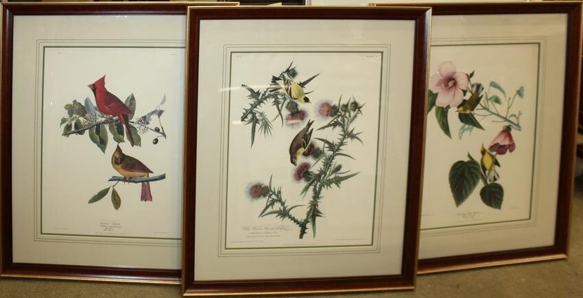 Three Framed Audubon Prints