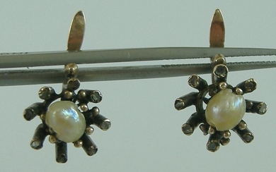 14 kt. Gold - Earrings Pearl
