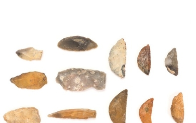 A collection of Danish Neolithic sickles and flakes.