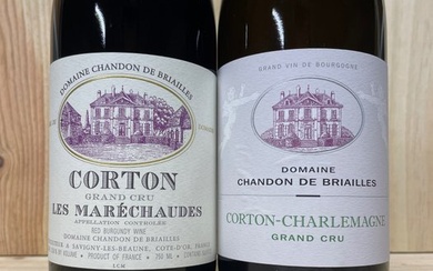 2009 Corton Grand Cru "Maréchaudes" & 2016 Corton-Charlemagne Grand Cru - Domaine Chandon de Briailles - Bourgogne - 2 Bottles (0.75L)