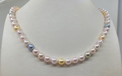 7x7.5mm Multi and Golden Akoya Pearls - Necklace - 14 kt. Yellow gold