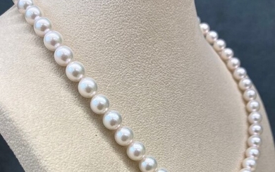925 Akoya pearls, Silver, Akoya RD 7.5 x 8 mm with Silver Clasp - Necklace
