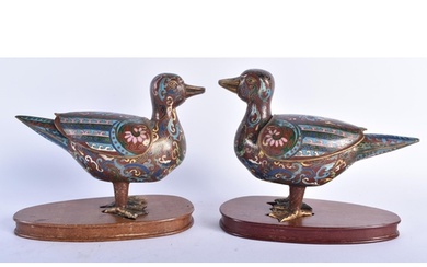 A PAIR OF 19TH CENTURY CHINESE CLOISONNE ENAMEL DUCK CENSERS...