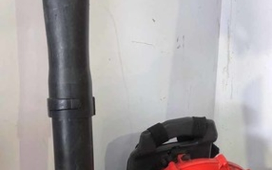 A RED LINE TRIMMER AND MAKITA BLOWER