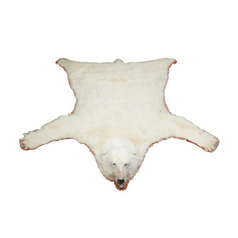 A polar bear skin rug