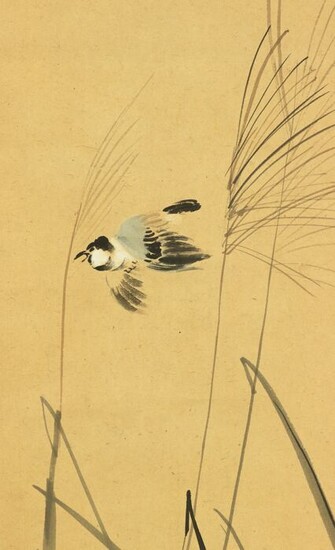 Hanging scroll, Painting - Paper - Kacho / Flower and Bird - Minakami Taisei 水上泰生 (1877-1951) - Flying Bird Silver Grass and Wild Chrysanthemum with Box - Japan - Shōwa period (1926-1989)