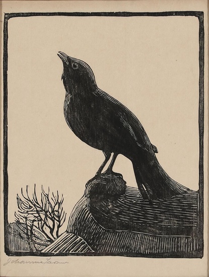 Johannes Larsen (b. Kerteminde 1867, d. s.p. 1961) “Solsort”. A blackbird. 1920....