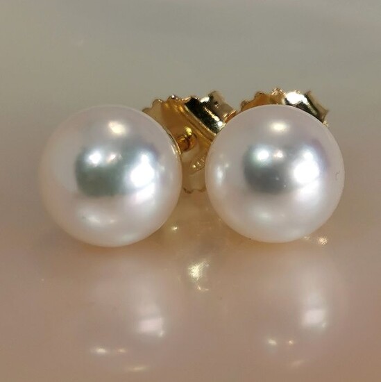 Magnificent white pink colour - Round - 18 kt. Akoya pearls, Yellow gold - Earrings