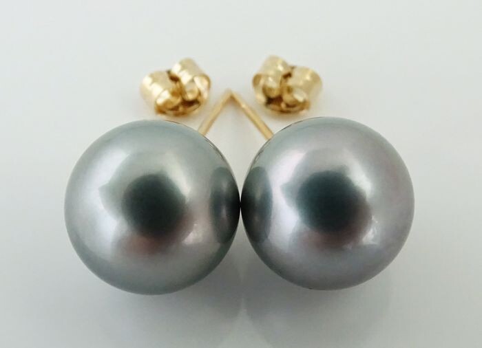 No Reserve Price - Tahitian Pearls, Metallic Silver Subtle Violet, Round, AAA 11.92, 11.95 mm - 14 kt. Yellow gold - Earrings