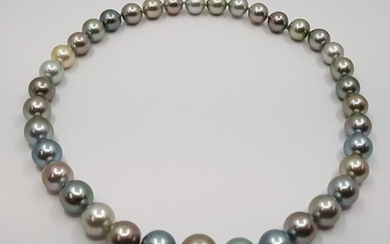 No reserve price - 18 kt. White Gold - 10.2x12.6mm Round Multi Tahitian Pearls - Necklace