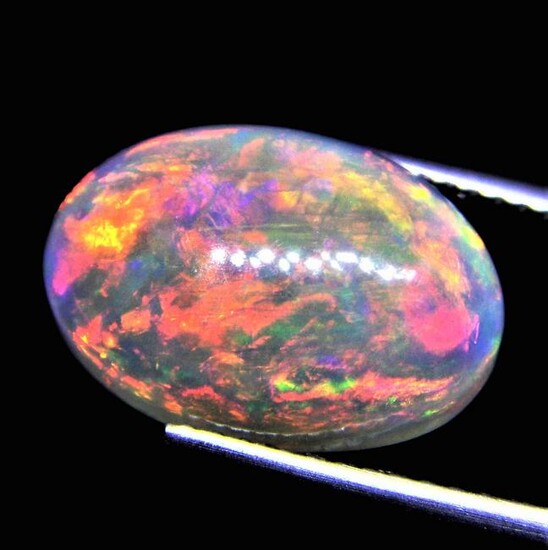 Opal Certified - 4.81 ct