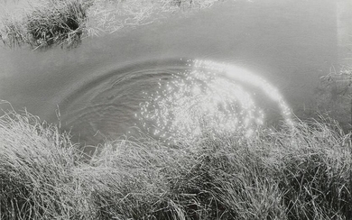PETER de LORY—Bog Light Photograph—1976