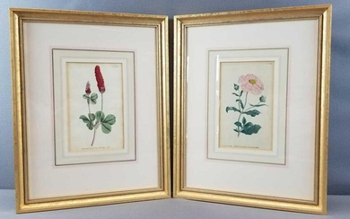 Set of 2: Framed Antique Hand Colored Engravings by W.