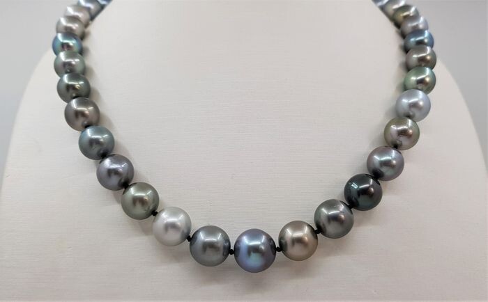 United Pearl - 8.5x12mm Multi Coloured Tahitian Pearls - 14 kt. White gold - Necklace