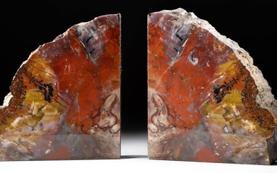 Vibrant Arizona Triassic Petrified Wood Bookends