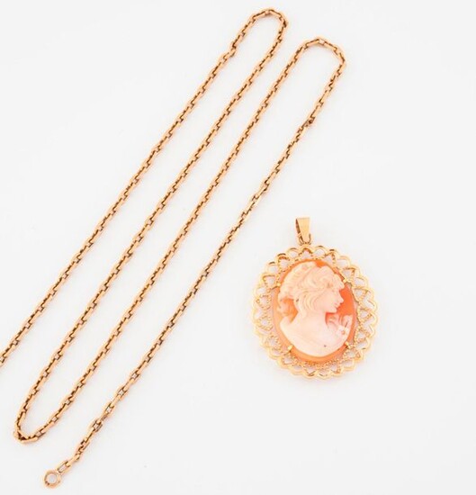Yellow gold (750) chain with a curb chain link holding an openworked yellow gold (750) frame pendant adorned with an oval cameo on a shell depicting a young woman's profile.