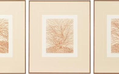 3 Guillaume Azoulay Tree Etchings, The Willow Suite