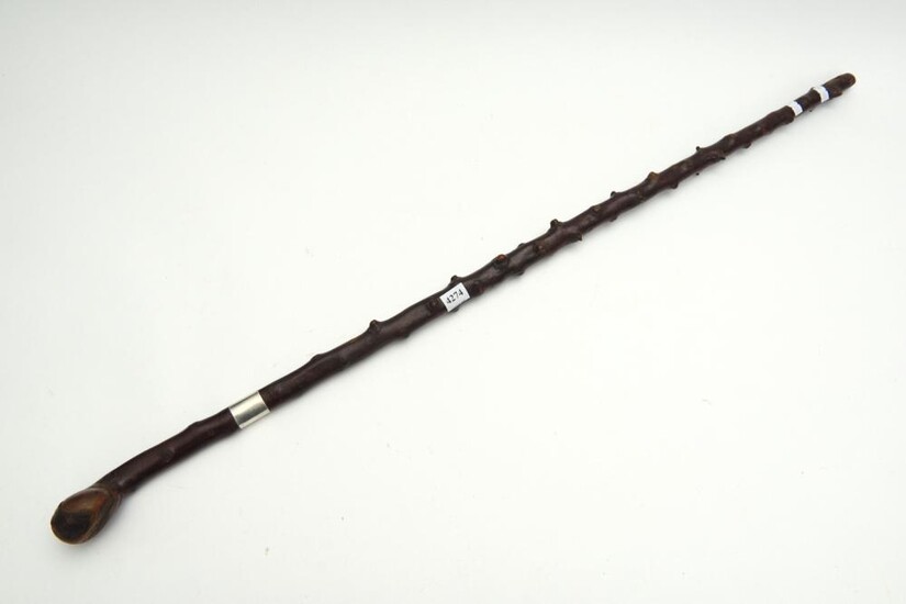 A 19TH CENTURY IRISH SHILLELAGH NOTTY BLACKTHORN WALKING STICK CLUB WITH STERLING SILVER BAND