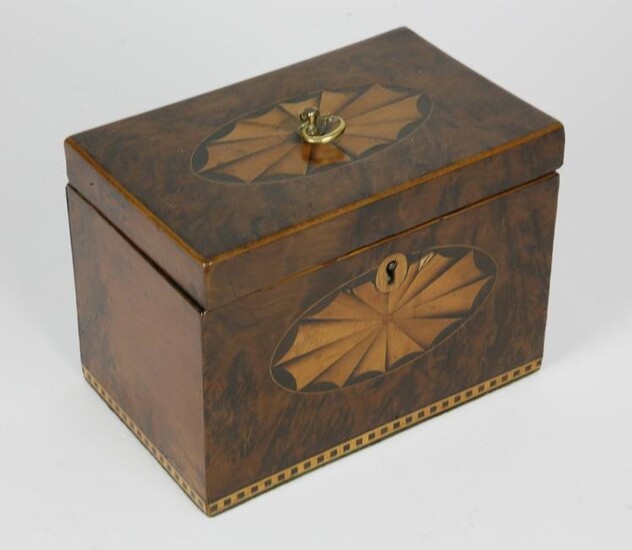 British Regency Double Compartment Tea Caddy With Oval