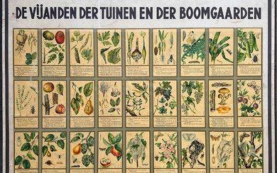COLLECTION de plaques murales pour l'enseignement de l'horticulture, comprenant entre autres : "DE BOOMGAARD met...