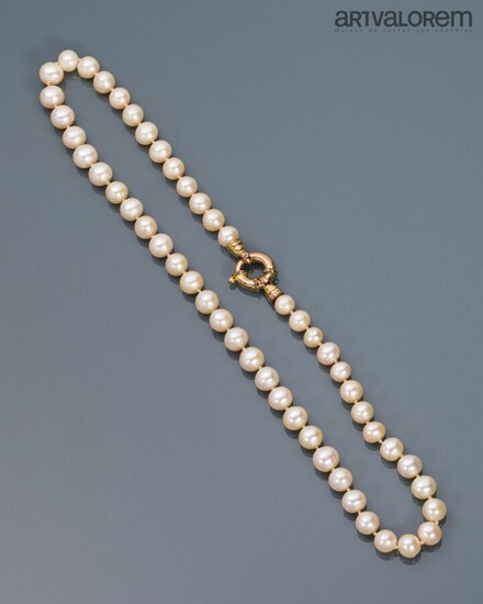 Collier de perles de culture à fermoir mousqueton... - Lot 74 - Art-Valorem