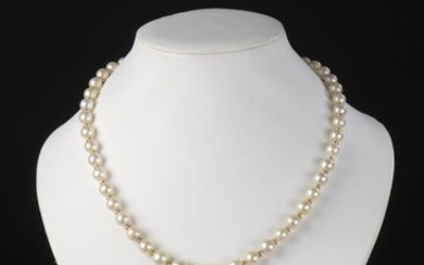 Necklace of forty-nine falling cultured pearls set with small 18k yellow gold rings. The clasp and safety chain in 18k white gold.