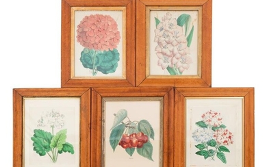 Four Hand-Colored Botanical Lithographs by James