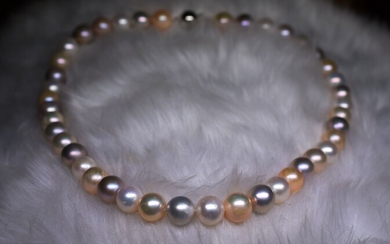Important collier perles de culture naturelles diamètre 9,5 - 10 mm aux couleurs naturelles multicolores...