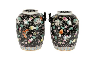Pair of Famille Noir Chinese Covered Water Jugs