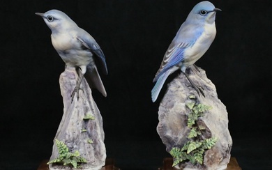 Royal Worcester Pair Mountain Bluebird Figures