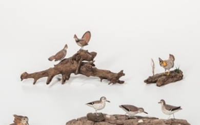 Seven Miniature Carved and Painted Bird Figures
