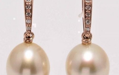 14 kt. Rose Gold - 10x11mm Golden South Sea Pearls - Earrings - 0.08 ct