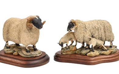 Border Fine Arts 'Blackfaced Ewe and Lambs' (Style One), model...